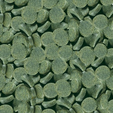 Sera Spirulina Tabs Nature 24