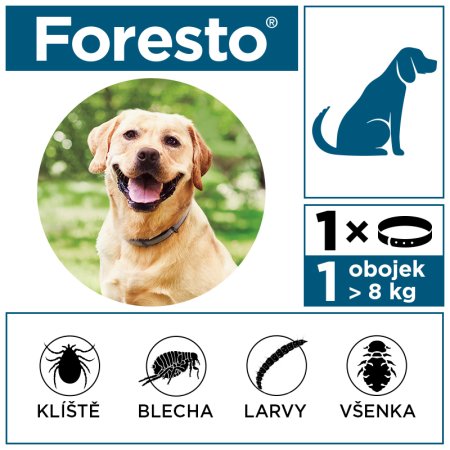 Foresto obojek pro psy nad 8kg 70 cm