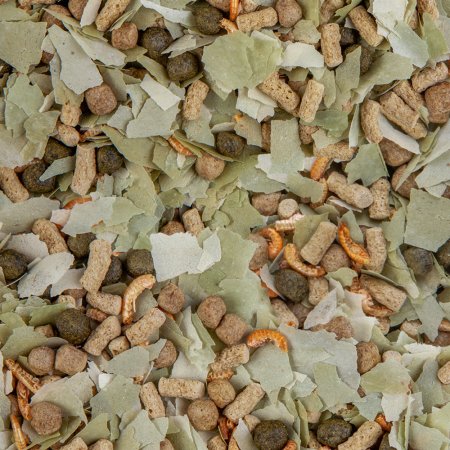 Sera Pond Mix Royal Nature 1 000 ml / 185 g