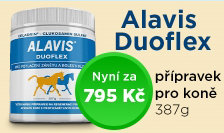Alavis